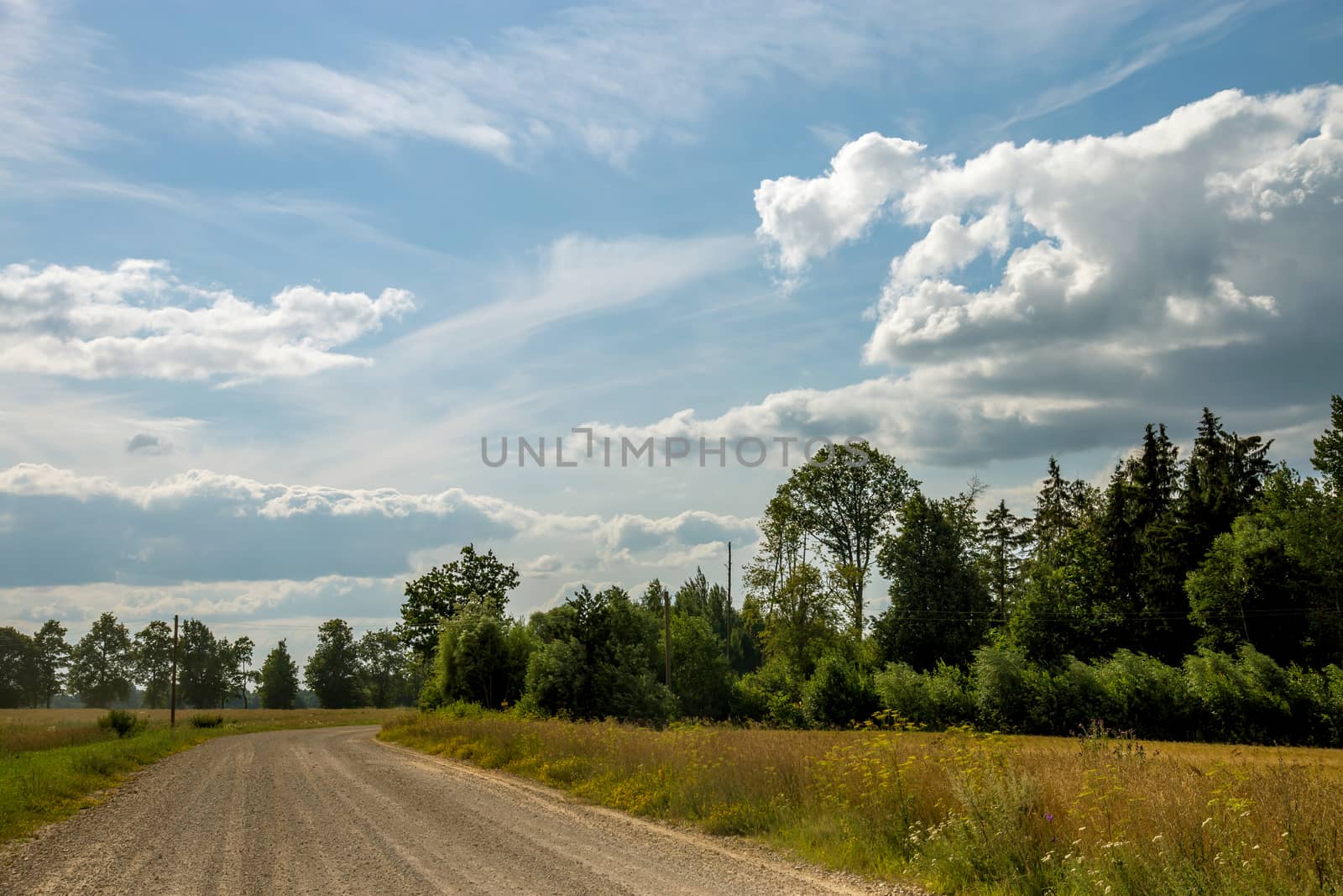 Landscape with empty rural road. by fotorobs