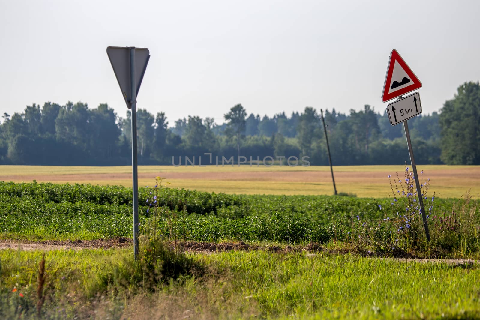 Road signs in countryside. Summer landscape with rural road, wood and cloudy blue sky. Classic rural landscape in Latvia. 

