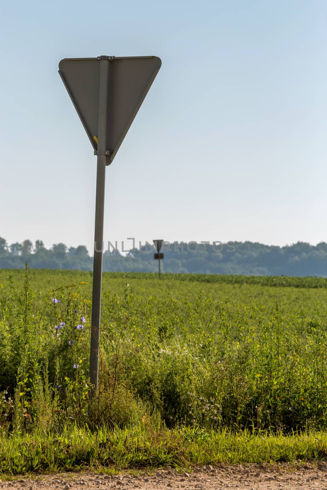 Road sign in countryside. Summer landscape with rural road, wood and cloudy blue sky. Classic rural landscape in Latvia.