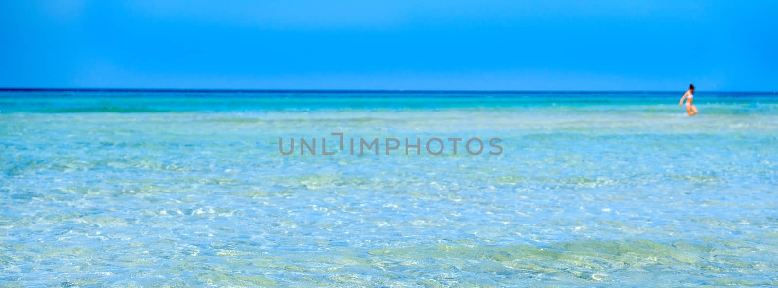transparent water horizontal blur background crystalline sea girl walk shallows saltwater flats