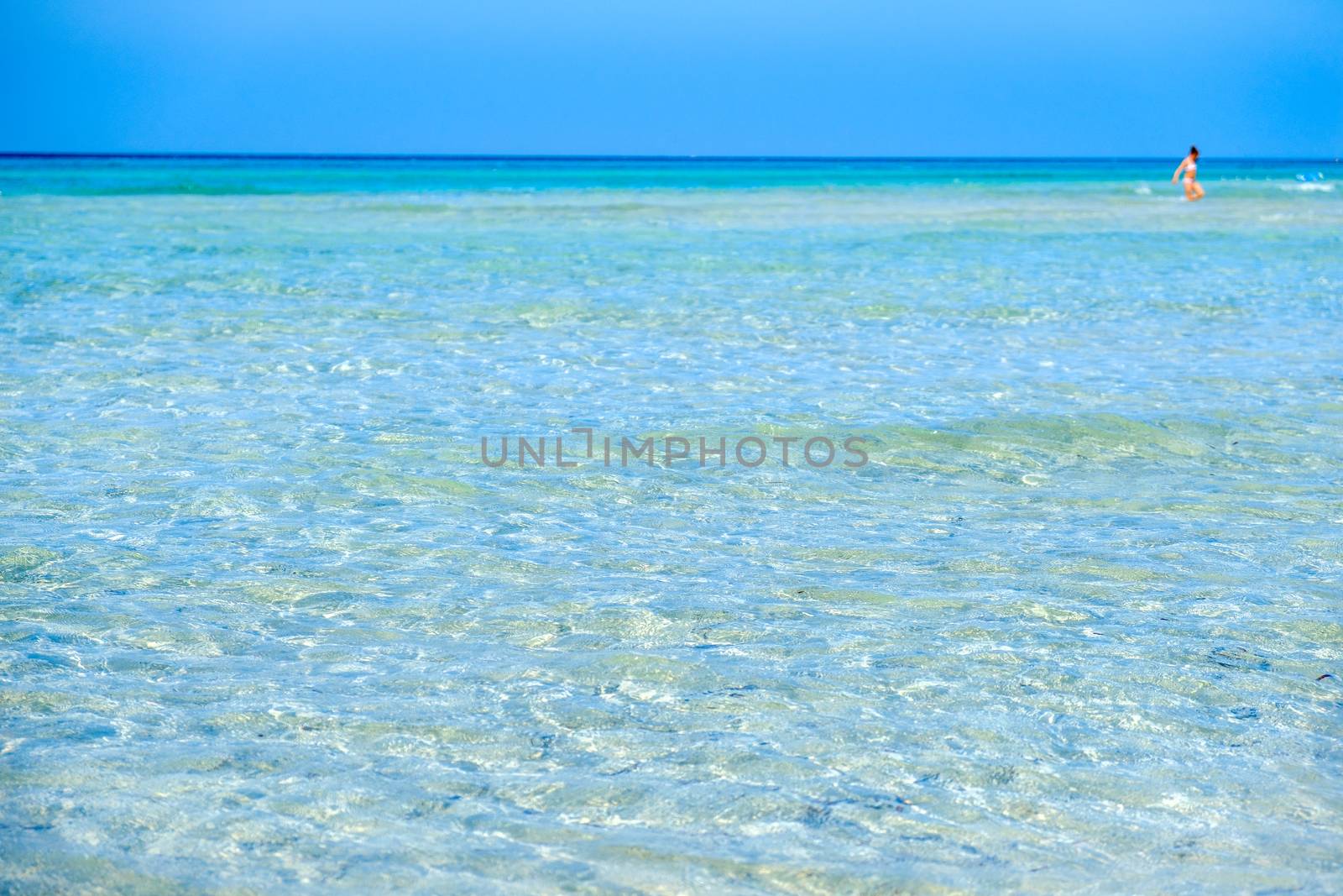 transparent water crystalline sea in Maldive del Salento - Apulia - Italy