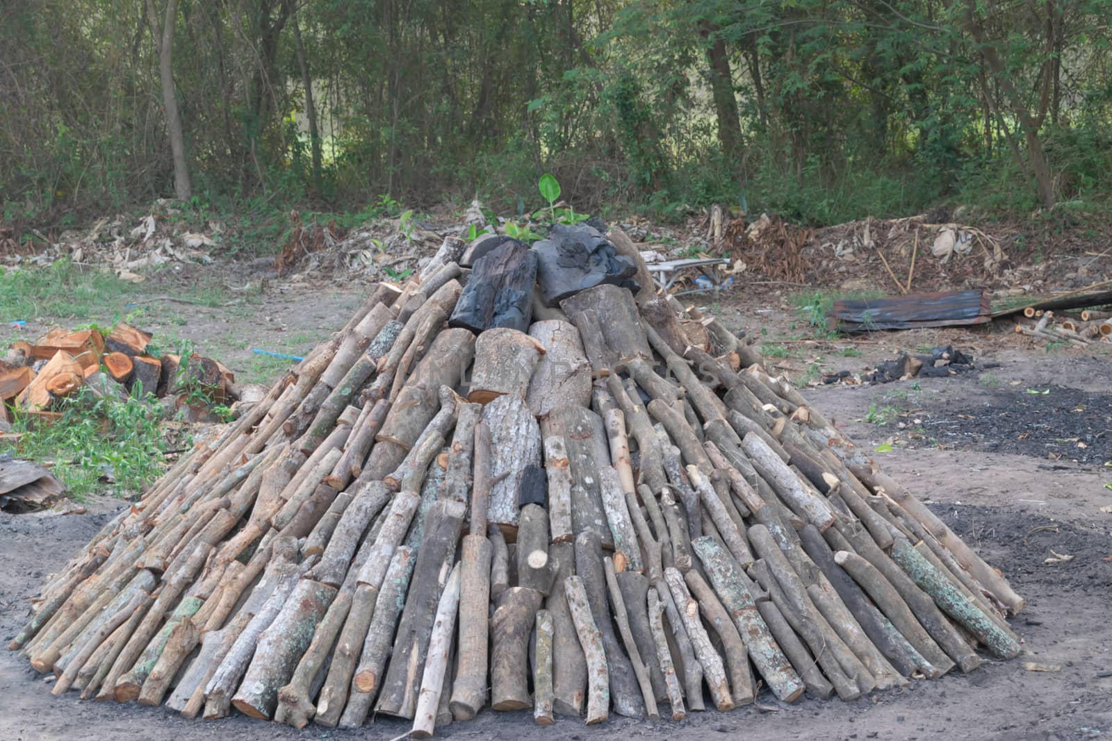 Close up view of a stack of firewood for the winter, stacks of f by Banglade