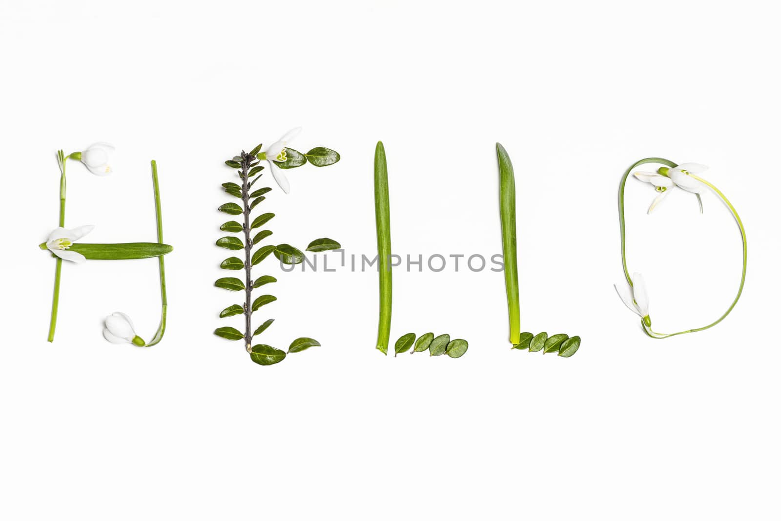 Greetings spring. The inscription of fresh green leaves on a white background Hello . Postcard. Selective focus.