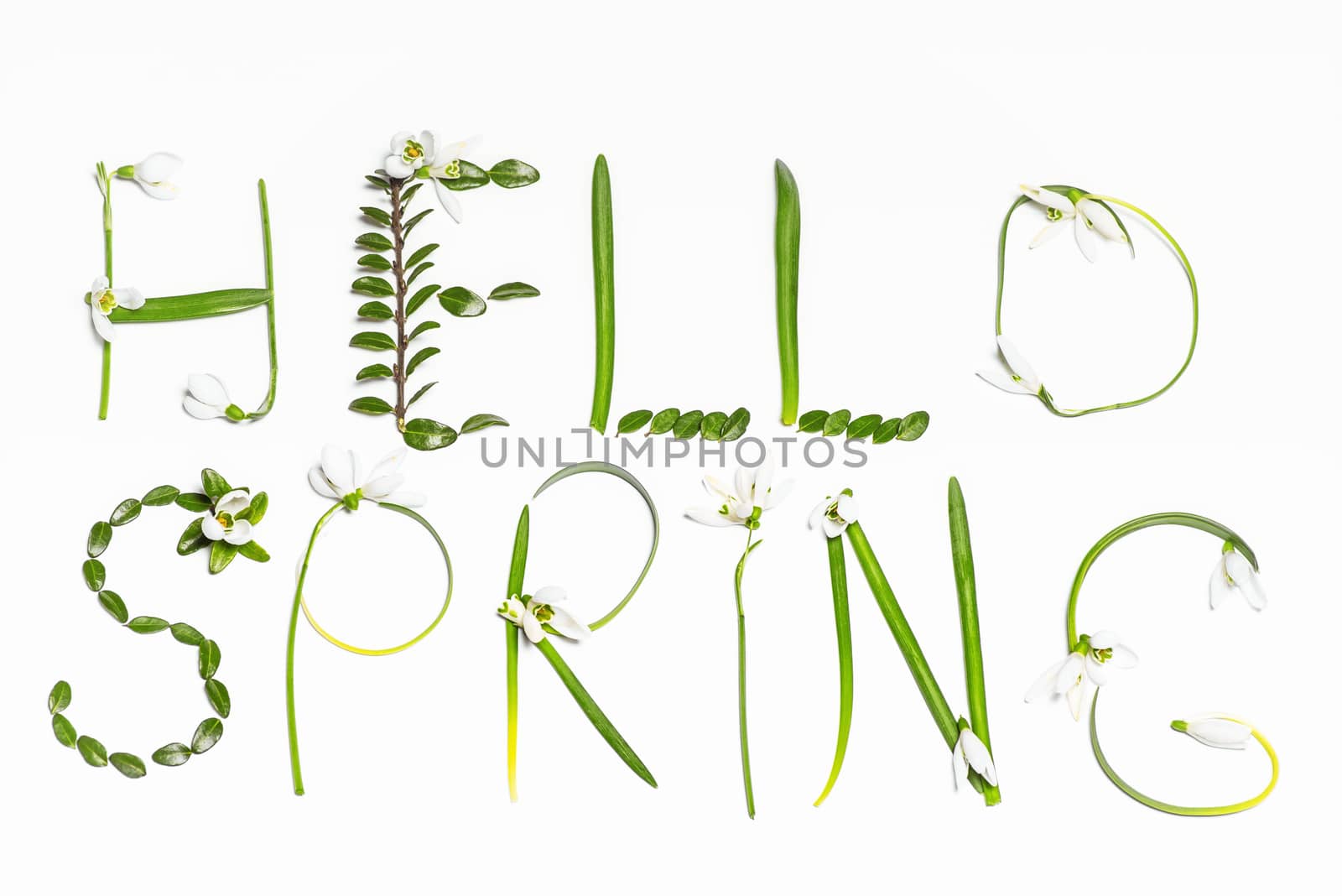 Greetings spring.The inscription of fresh green leaves on a white background Hello Spring. Greetings spring. Postcard. Selective focus.