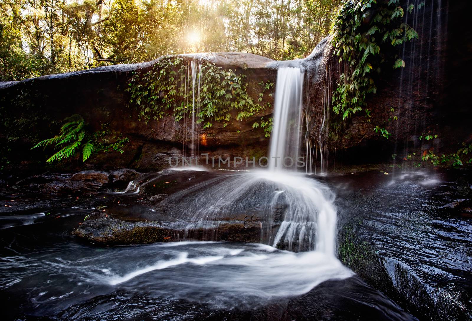 Late afternoon sunlight filtering through the trees at a little waterfall at the Grotto in Wildes Meadow