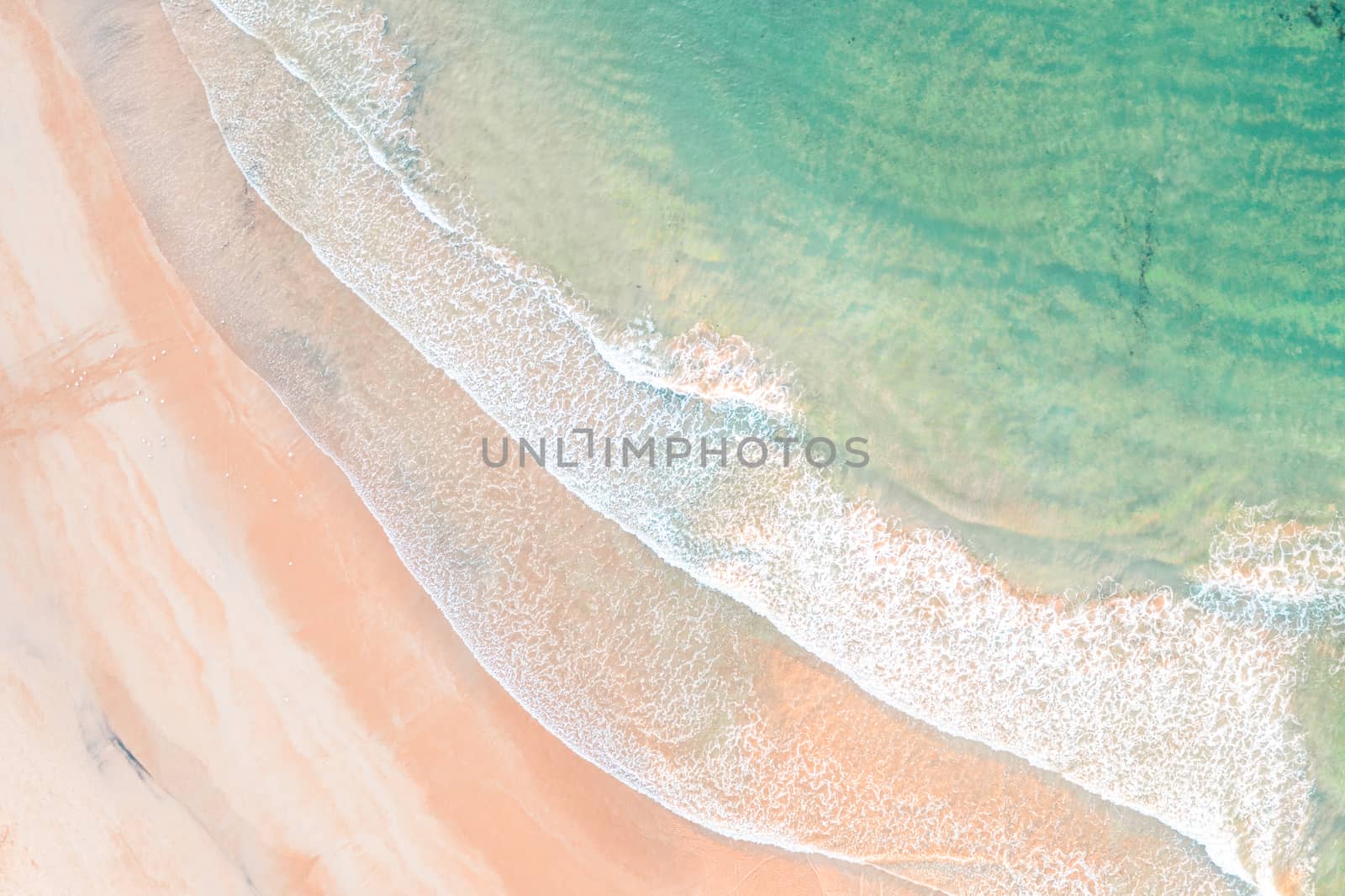 Freshwater beach waves with morning sunlight hitting the water. Seagulls play in the shallows