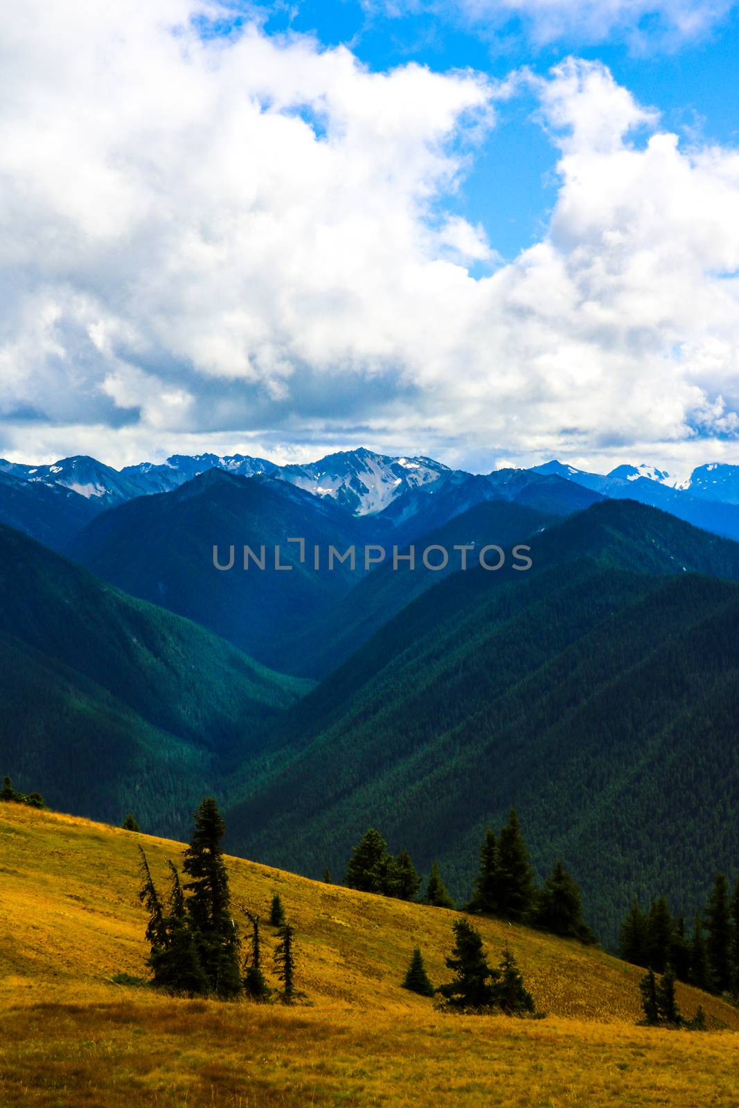 Cloudy landscape in mountains, Olympic National Park, Washington, USA