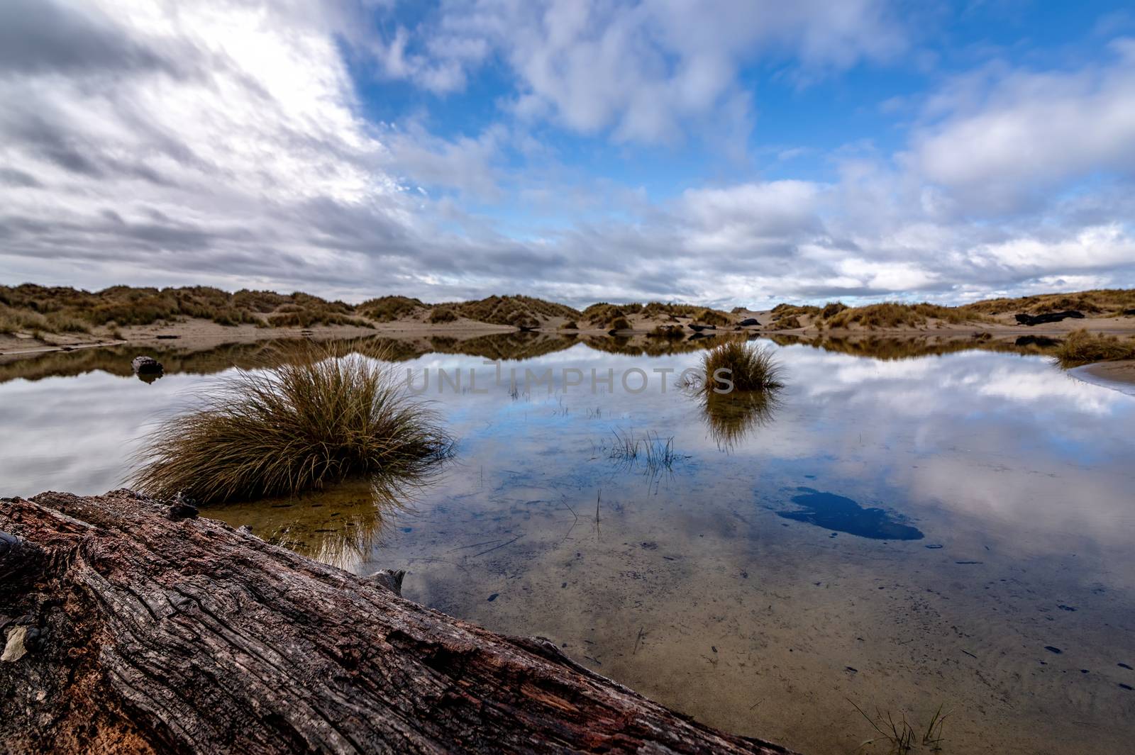 Reflections in a Rainwater Pond, Sand Dunes, Oregon, USA by backyard_photography