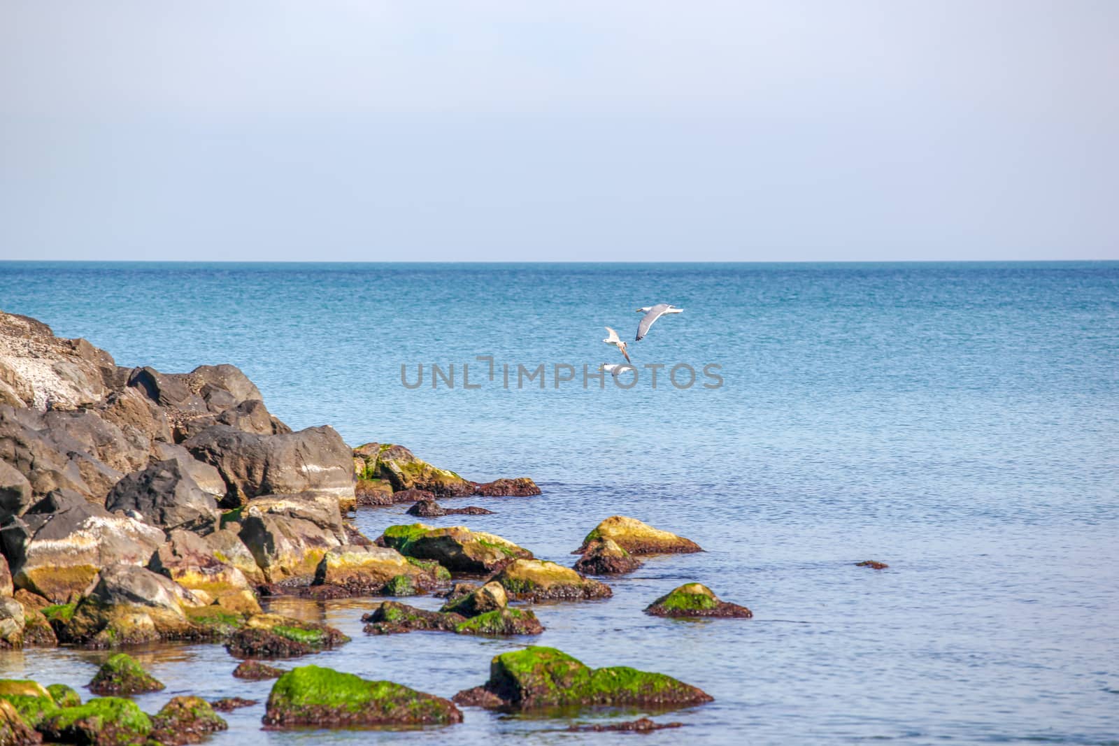 Pomorie, Bulgaria - March 02, 2019: Spring Walk Through The Central Part Of The City.