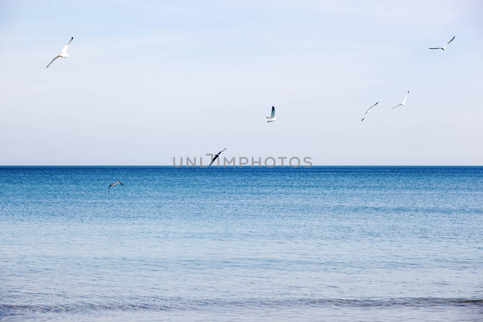 Pomorie, Bulgaria - March 02, 2019: Spring Walk Through The Central Part Of The City.