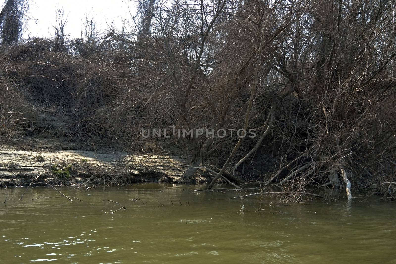 The Danube's arms and islands are awaiting the spring.
Trees, shrubs, herbs, paths, birds, snow and ice are worth touching, seeing, sniffing.
You will surely return on a beautiful day through these little places.