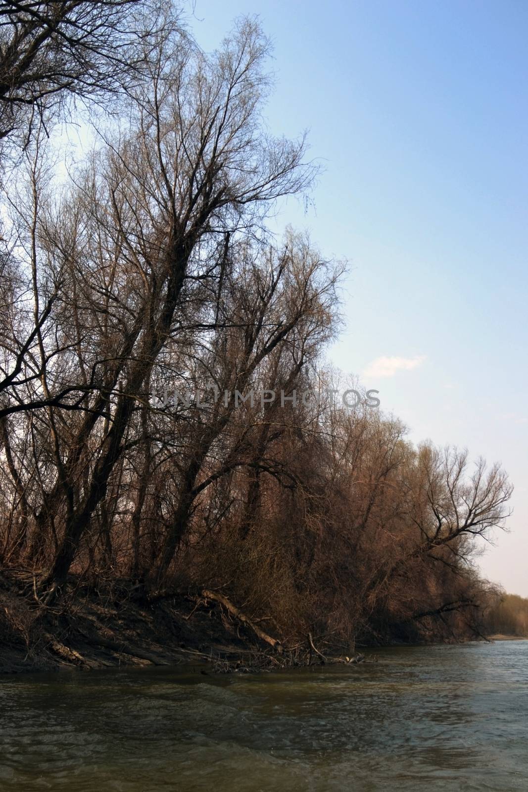 The Danube's arms and islands are awaiting the spring.
Trees, shrubs, herbs, paths, birds, snow and ice are worth touching, seeing, sniffing.
You will surely return on a beautiful day through these little places.