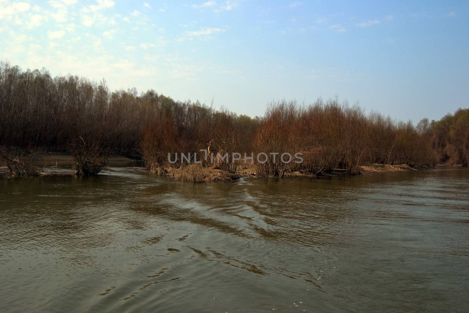 The Danube's arms and islands are awaiting the spring.
Trees, shrubs, herbs, paths, birds, snow and ice are worth touching, seeing, sniffing.
You will surely return on a beautiful day through these little places.