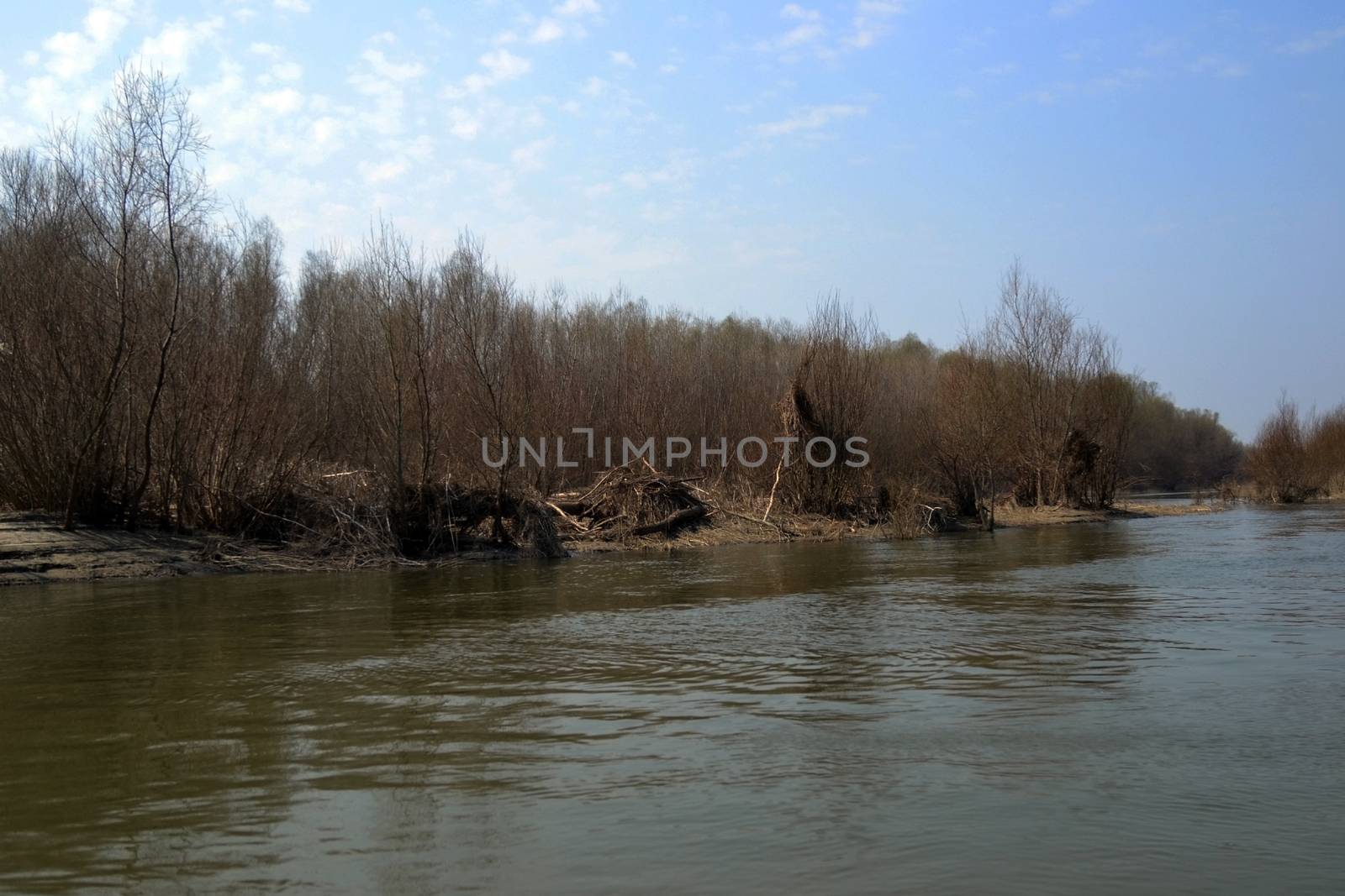 The Danube's arms and islands are awaiting the spring.
Trees, shrubs, herbs, paths, birds, snow and ice are worth touching, seeing, sniffing.
You will surely return on a beautiful day through these little places.