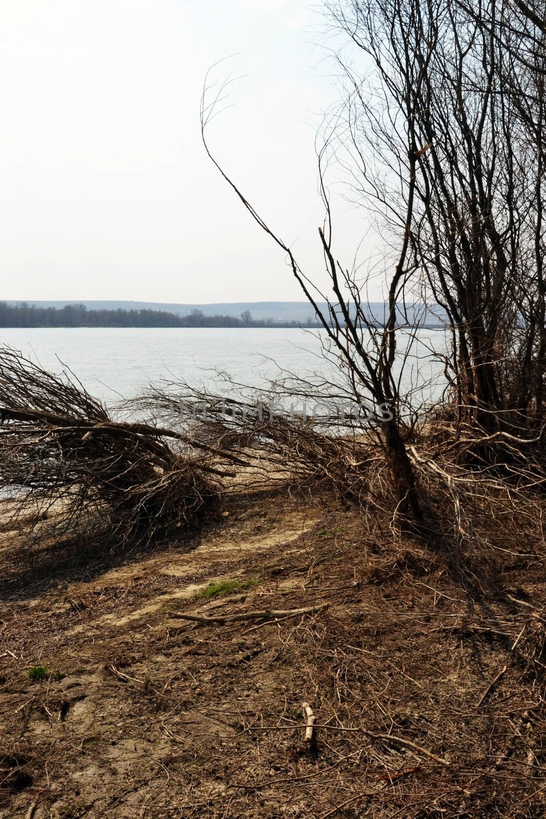 The Danube's arms and islands are awaiting the spring.
Trees, shrubs, herbs, paths, birds, snow and ice are worth touching, seeing, sniffing.
You will surely return on a beautiful day through these little places.