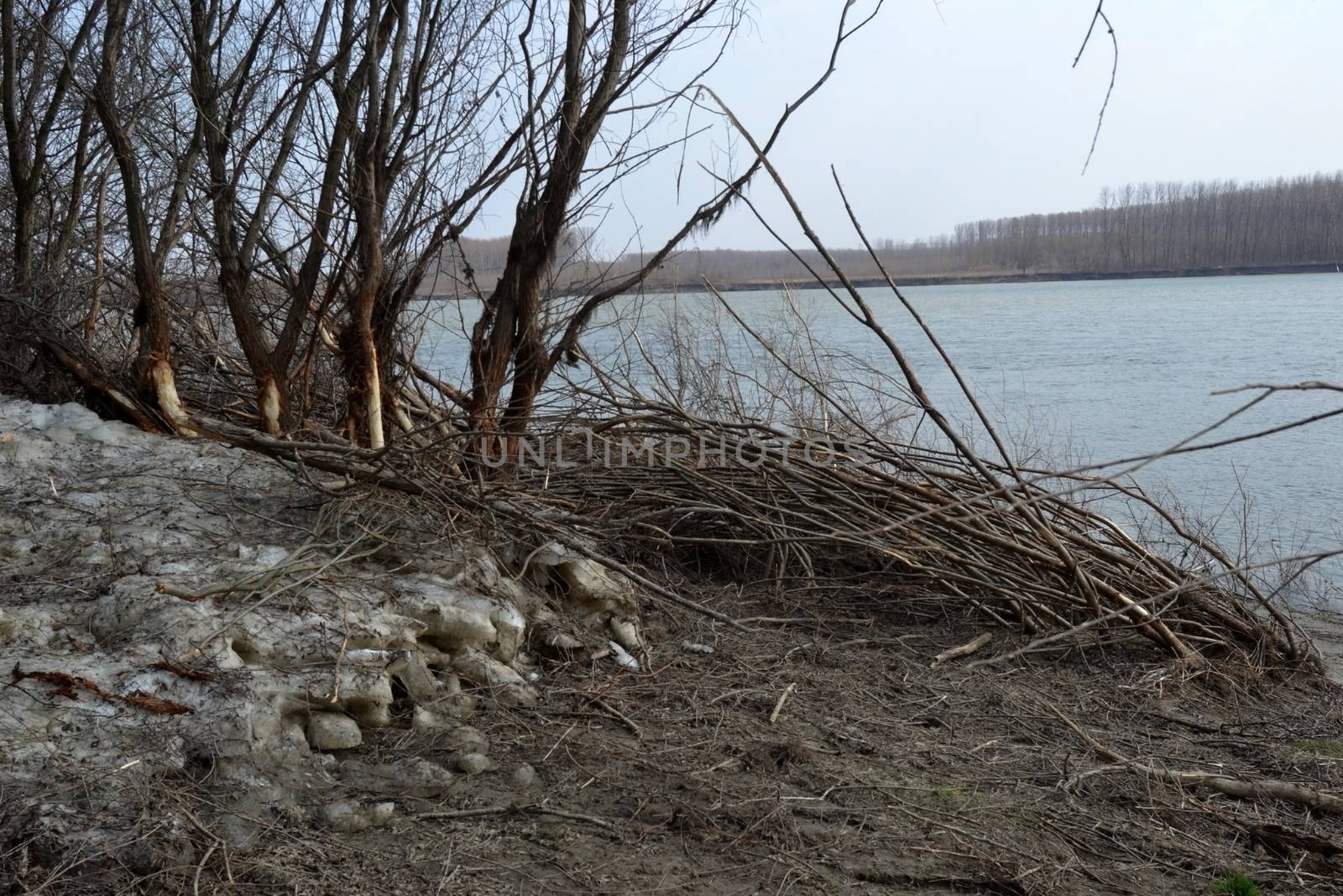 The Danube's arms and islands are awaiting the spring.
Trees, shrubs, herbs, paths, birds, snow and ice are worth touching, seeing, sniffing.
You will surely return on a beautiful day through these little places.