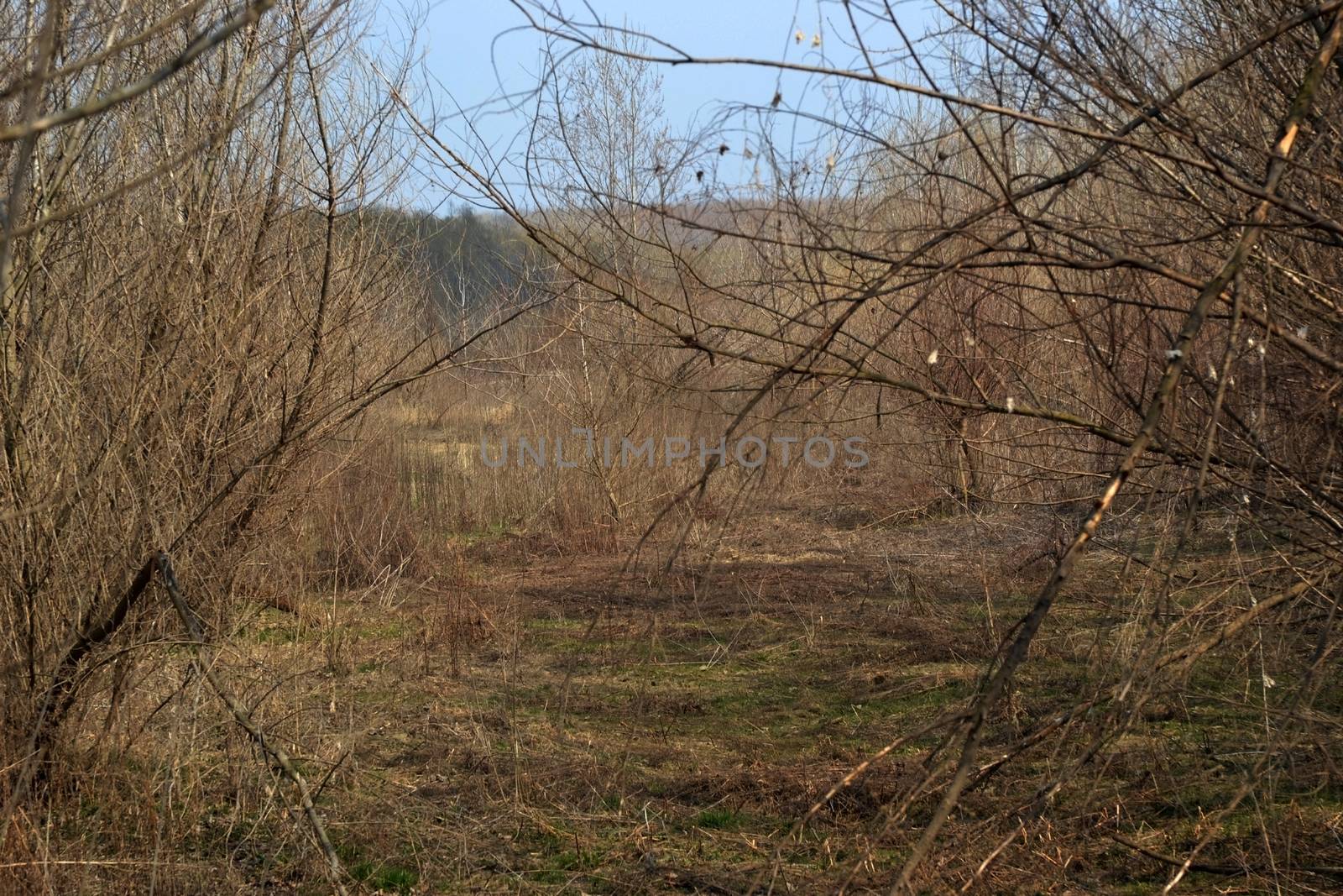 The Danube's arms and islands are awaiting the spring.
Trees, shrubs, herbs, paths, birds, snow and ice are worth touching, seeing, sniffing.
You will surely return on a beautiful day through these little places.