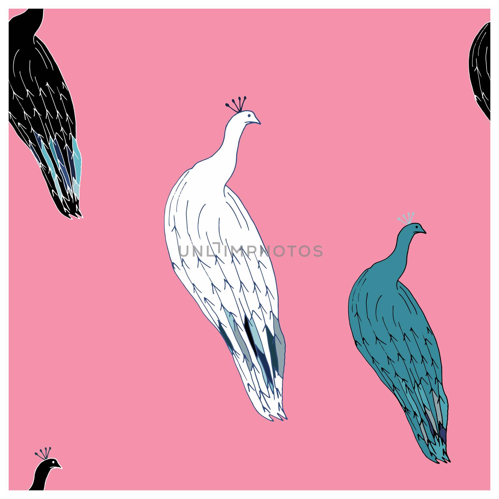 Peacocks cute hand drawn seamless vector pattern on pink background. Sketch textile, wrapping paper, background, wallpaper, pattern fills, web page background.