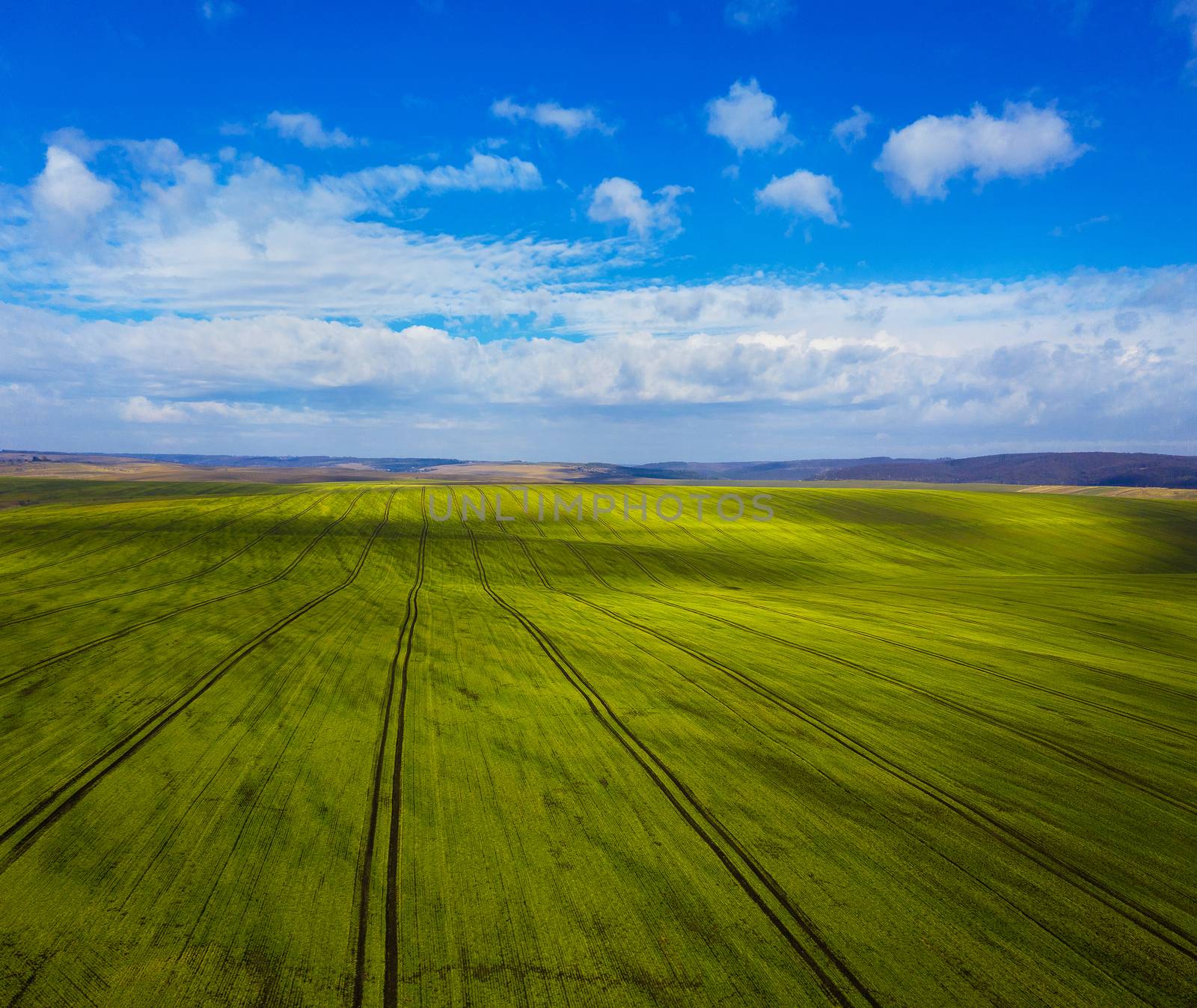 Green field and picturesque clouds in the sky by vlad_star