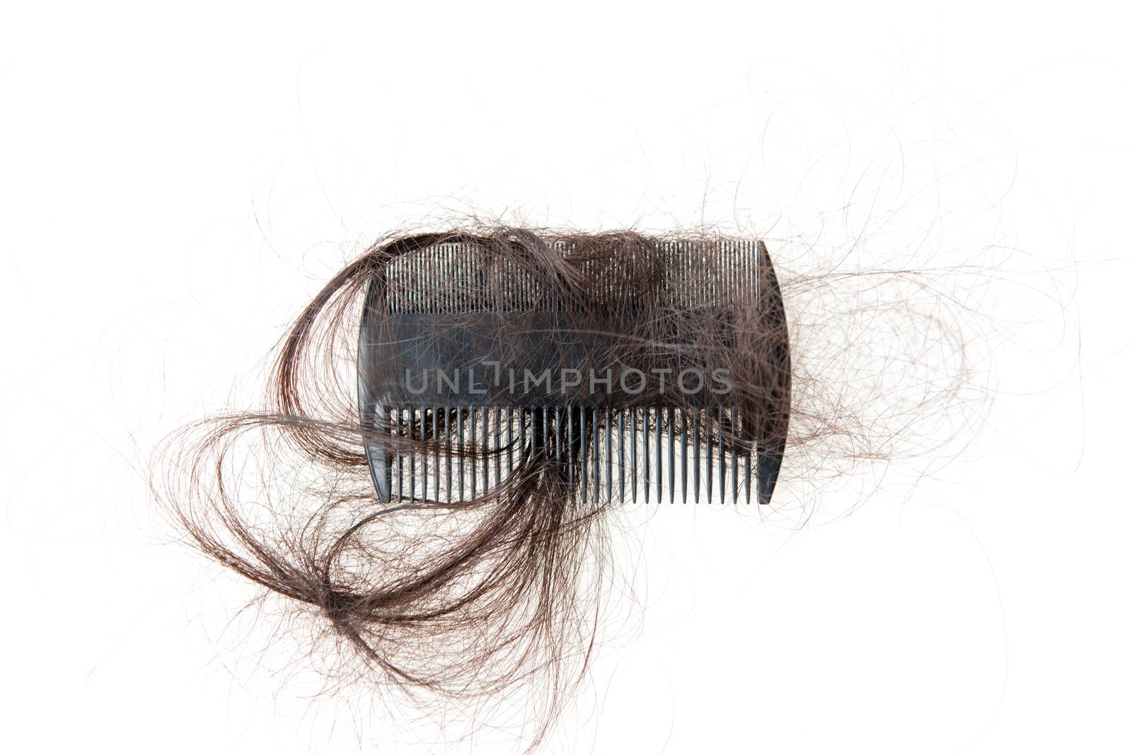 Hairloss problem. Flat lay top view comb with lost hair on it, isolated on white background.