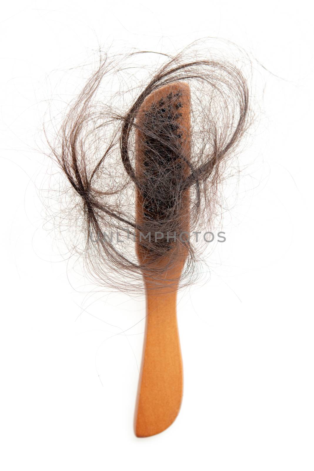 Hairloss problem. Flat lay top view brush with lost hair on it, isolated on white background.
