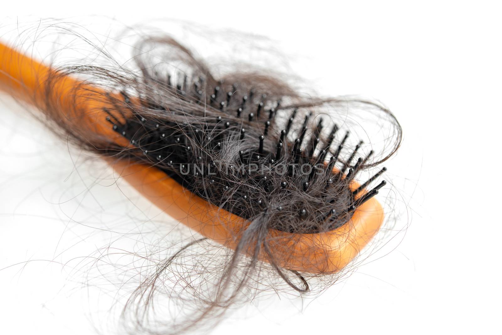 Hairloss problem. Hairbrush with lost hair on it, isolated on white background.