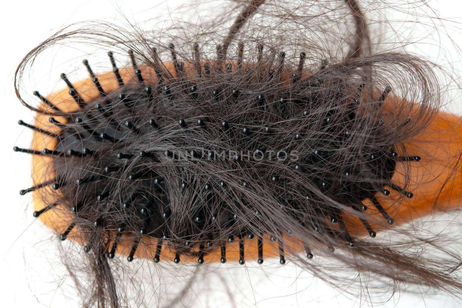 Hairloss problem. Hairbrush with lost hair on it, isolated on white background.