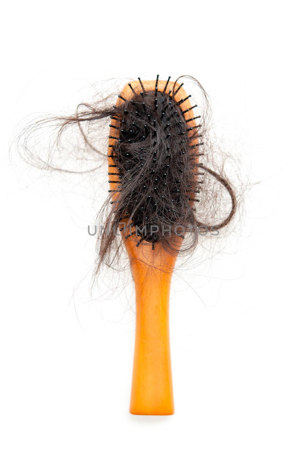 Hairloss problem. Flat lay top view brush with lost hair on it, isolated on white background.