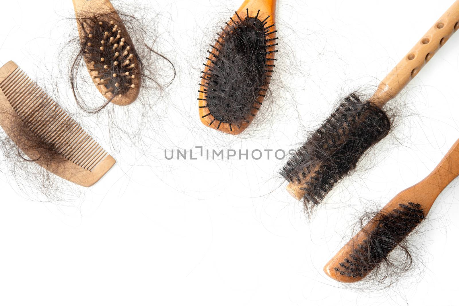 Collection set of brushes with lost hair on it, copy space on bottom, isolated on white background.