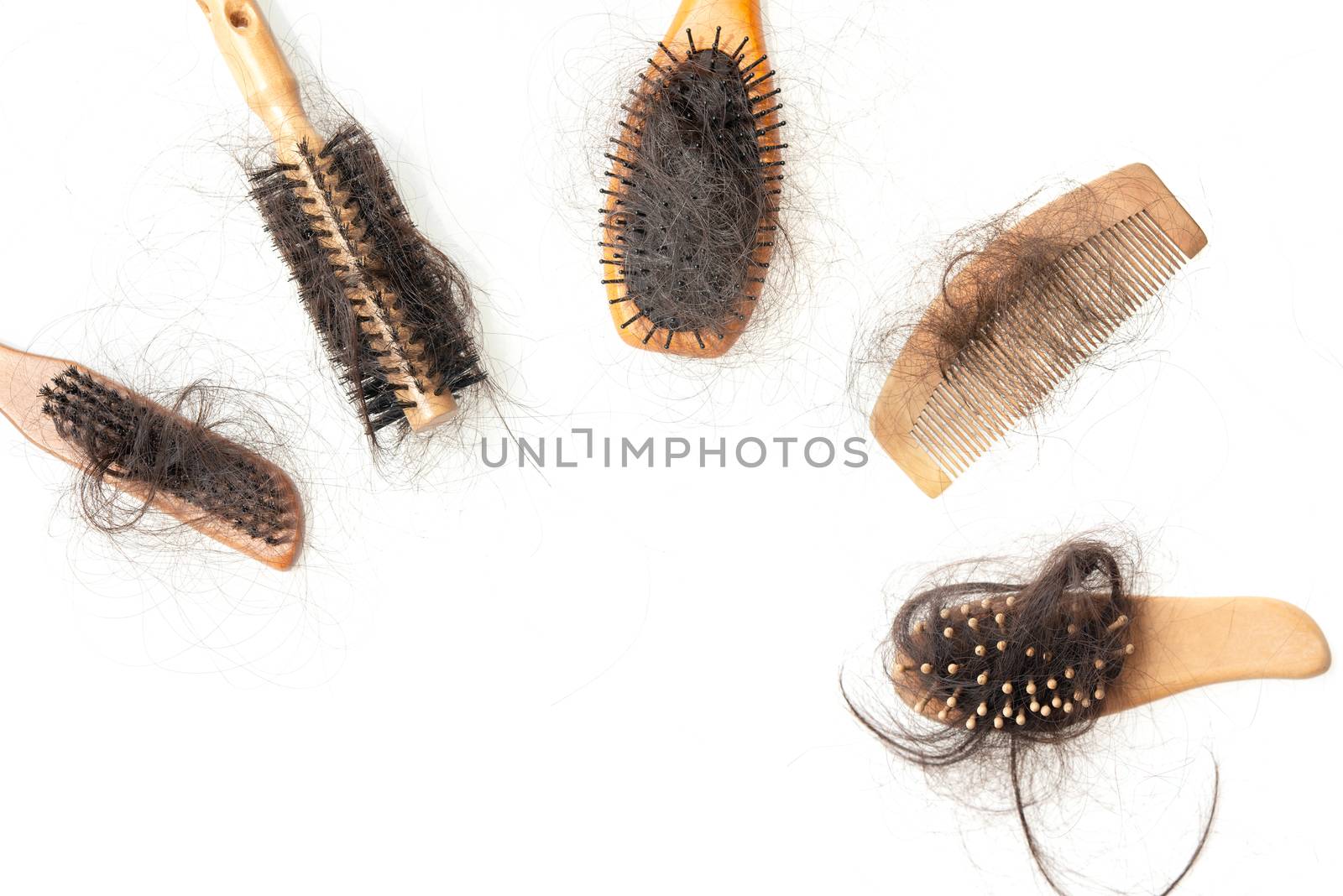 Collection set of brushes with lost hair on it, copy space on bottom, isolated on white background.