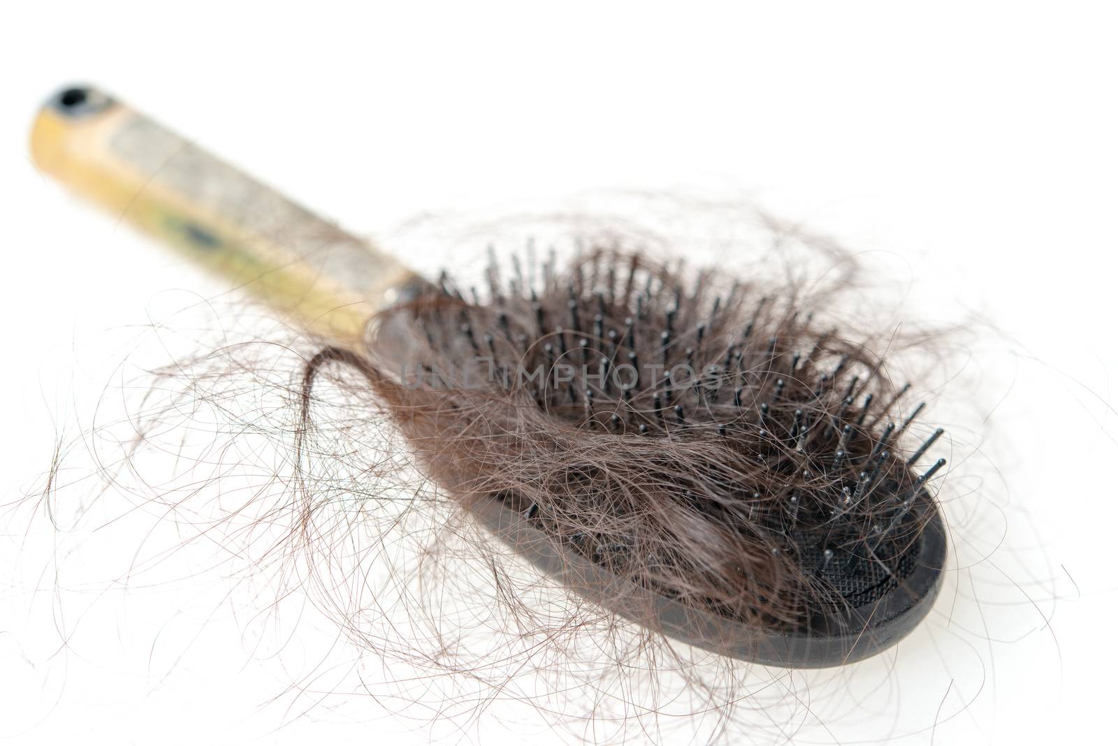 Used dirty hairbrush with lost hair on it, isolated on white background.