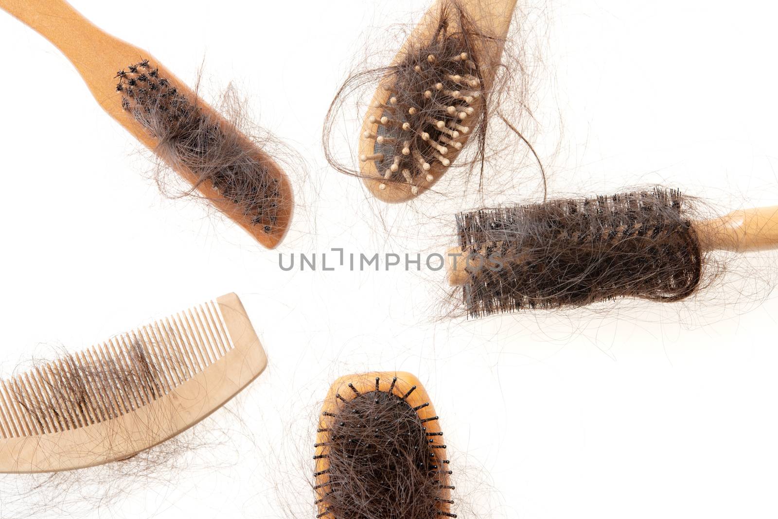Collection set of brushes with lost hair on it, isolated on white background.