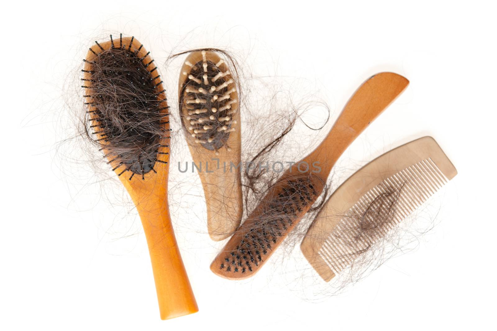 Collection set of brushes with lost hair on it, isolated on white background.