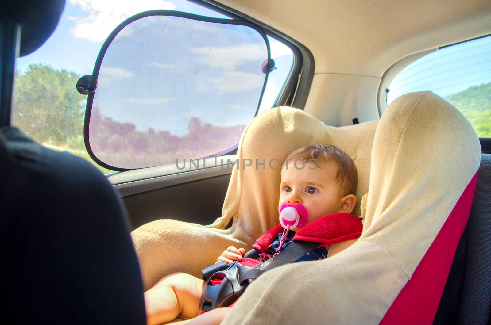 baby seat car curtains by LucaLorenzelli