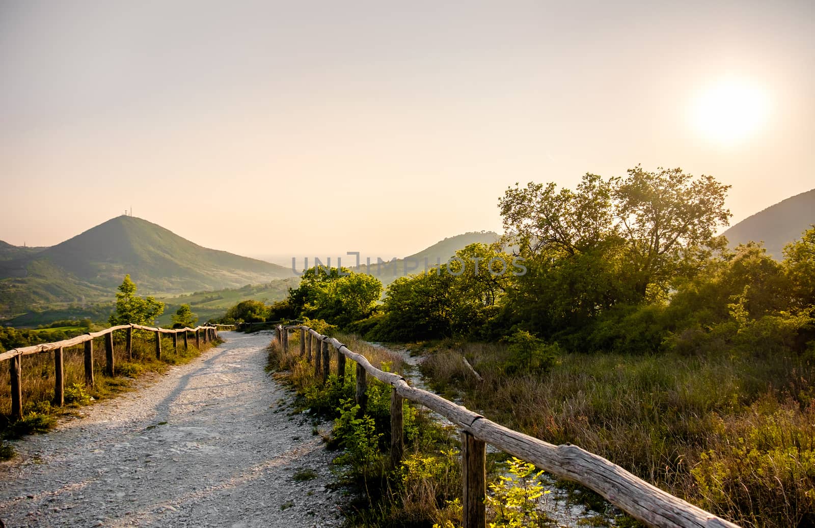 Euganean Hlls area  Pianoro del Mottolone trail Padua Italy Veneto region