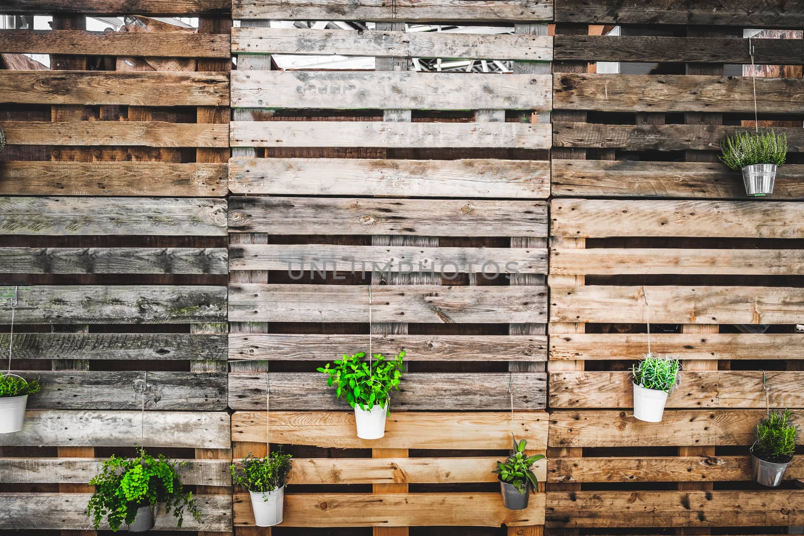 grunge texture copy space green thumb pallets wooden background by LucaLorenzelli