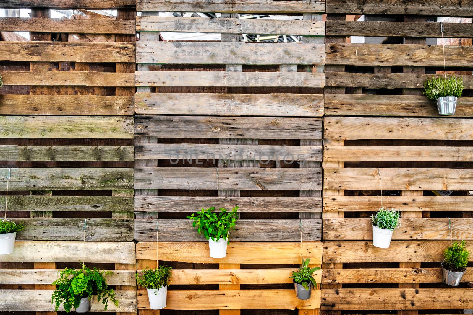 green thumb background copy space pallets wooden texture .