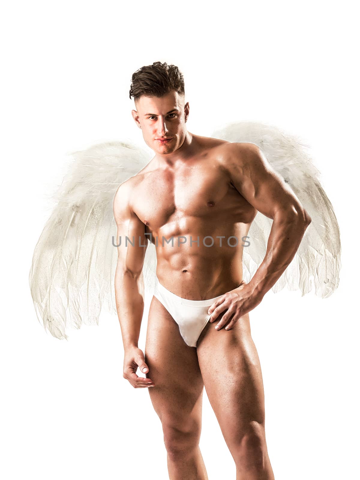 Naked male angel sitting in dark with white feather wings spreading from his back. Angelic naked young man standing isolated on white background