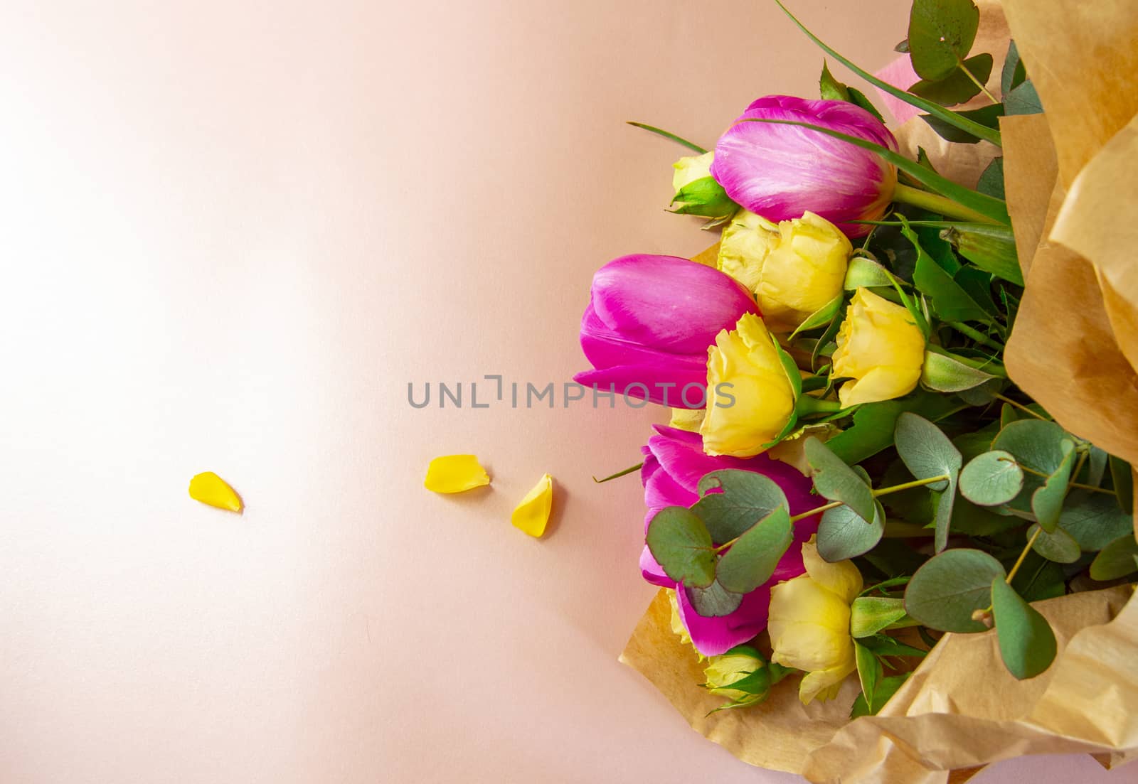 Flat lay creative layout is made with red and yellow flowers on pink background. The concept of spring by claire_lucia