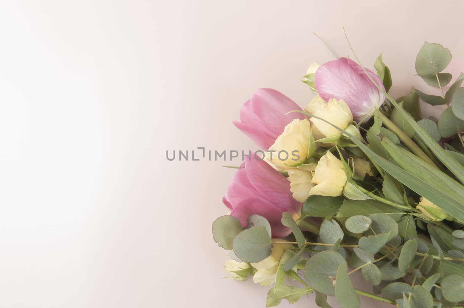 Beautiful bouquet of tulips and bushy little yellow rose on pink background, flat lay with copy space, effect of old photo with tinting.