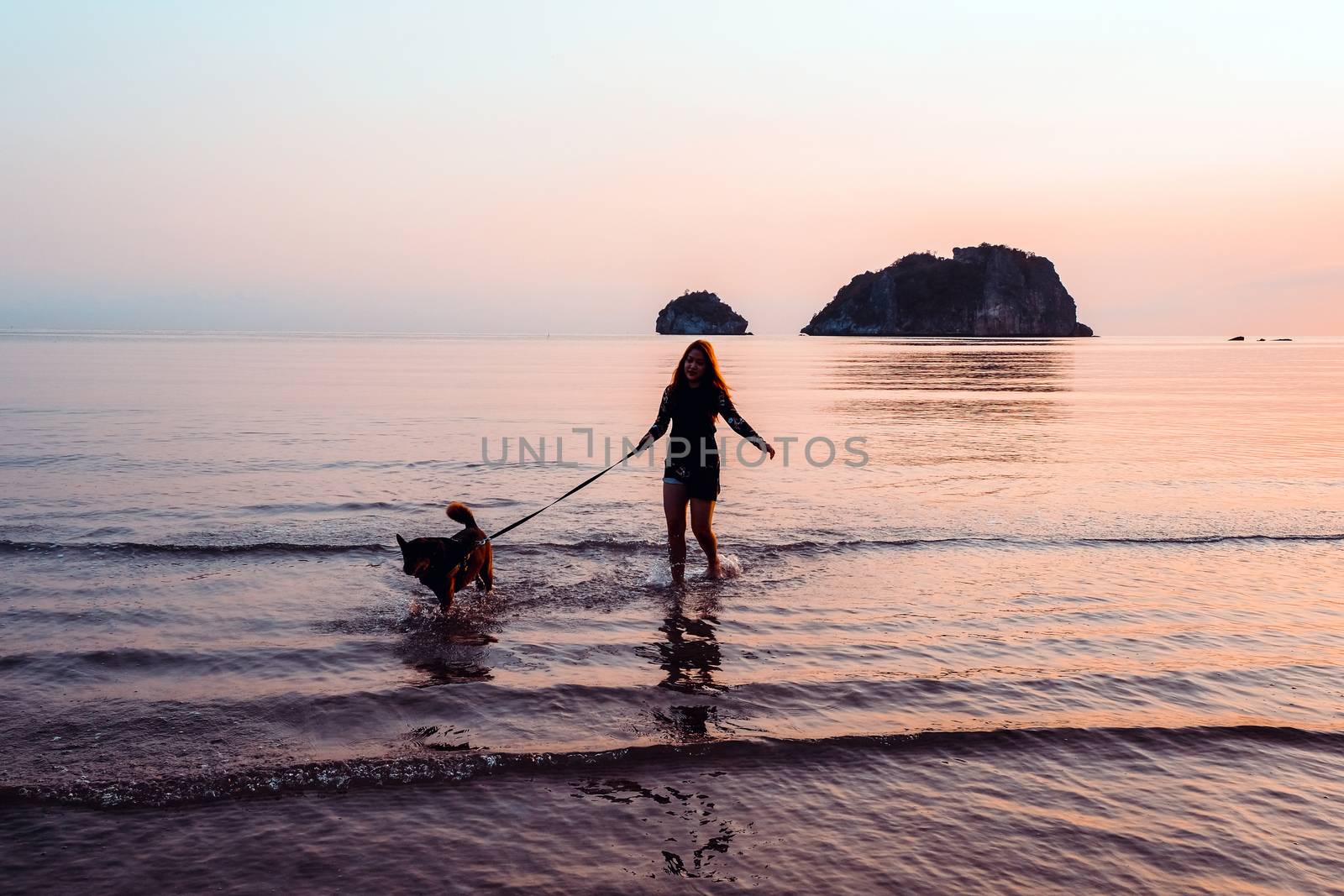 Woman and dog on beach at sunrise