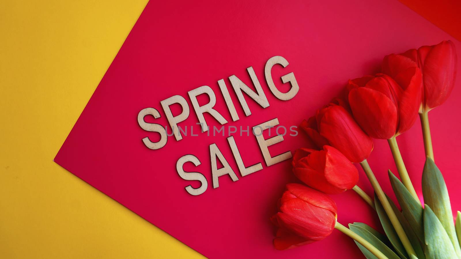 Spring sale banner with pink tulips on colorful background