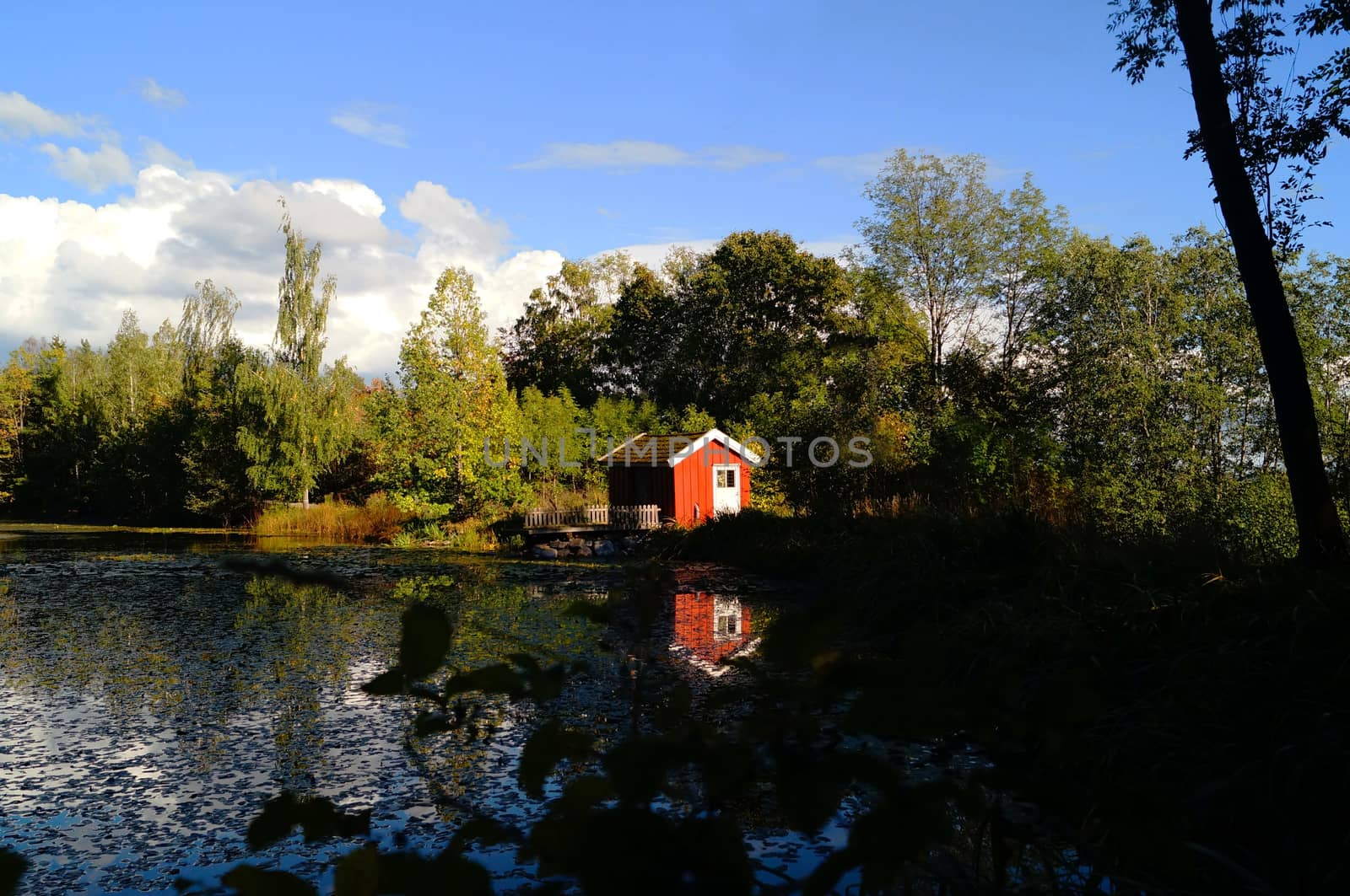 Summercabin in Norway