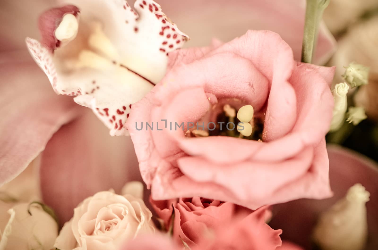 Pink eustoma in the beautiful bouquet with blured background