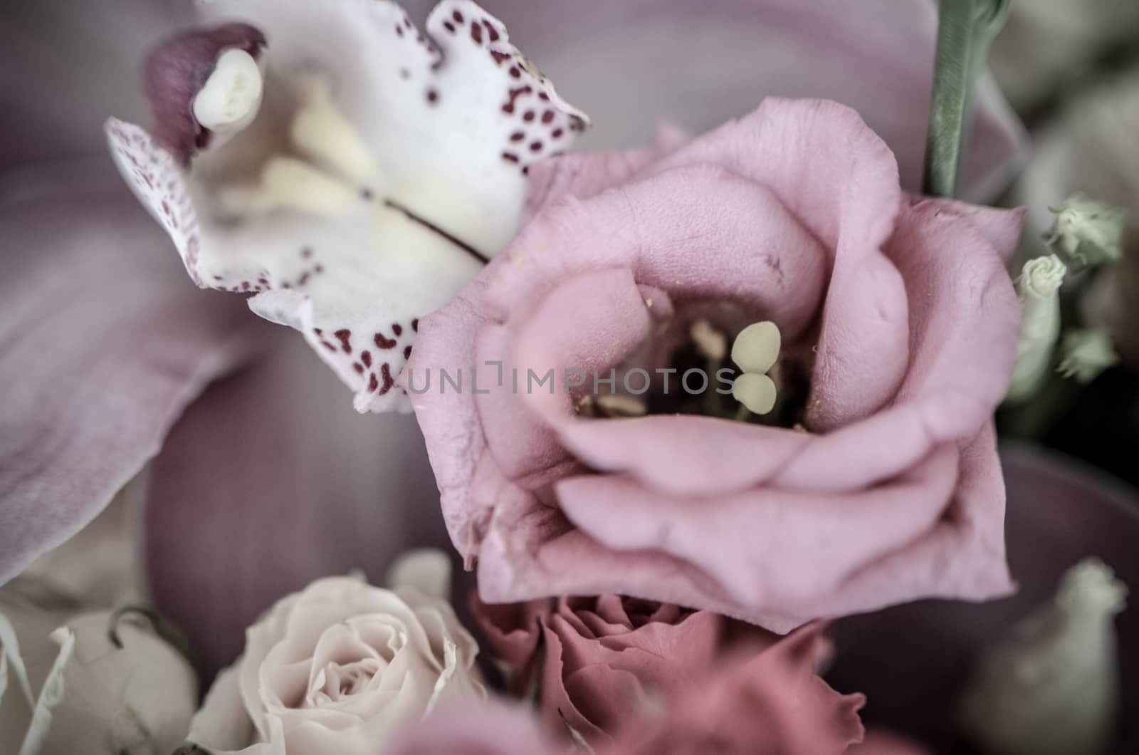 Pink eustoma in the beautiful bouquet with blured background