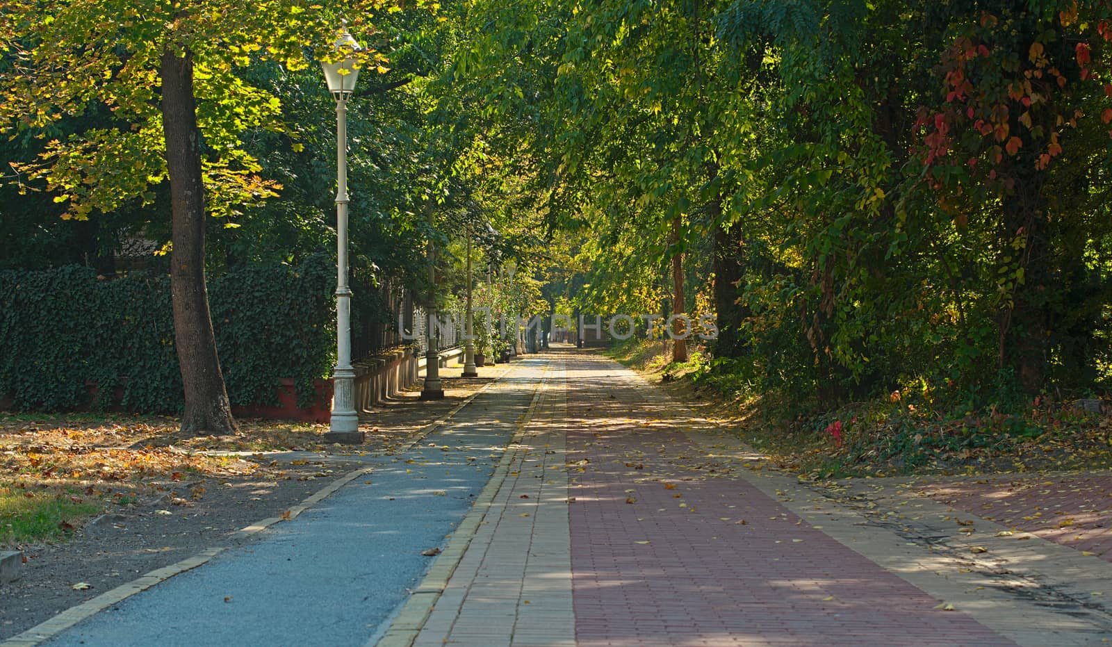 Bricks and asphalt pathway in Palic park, Serbia by sheriffkule