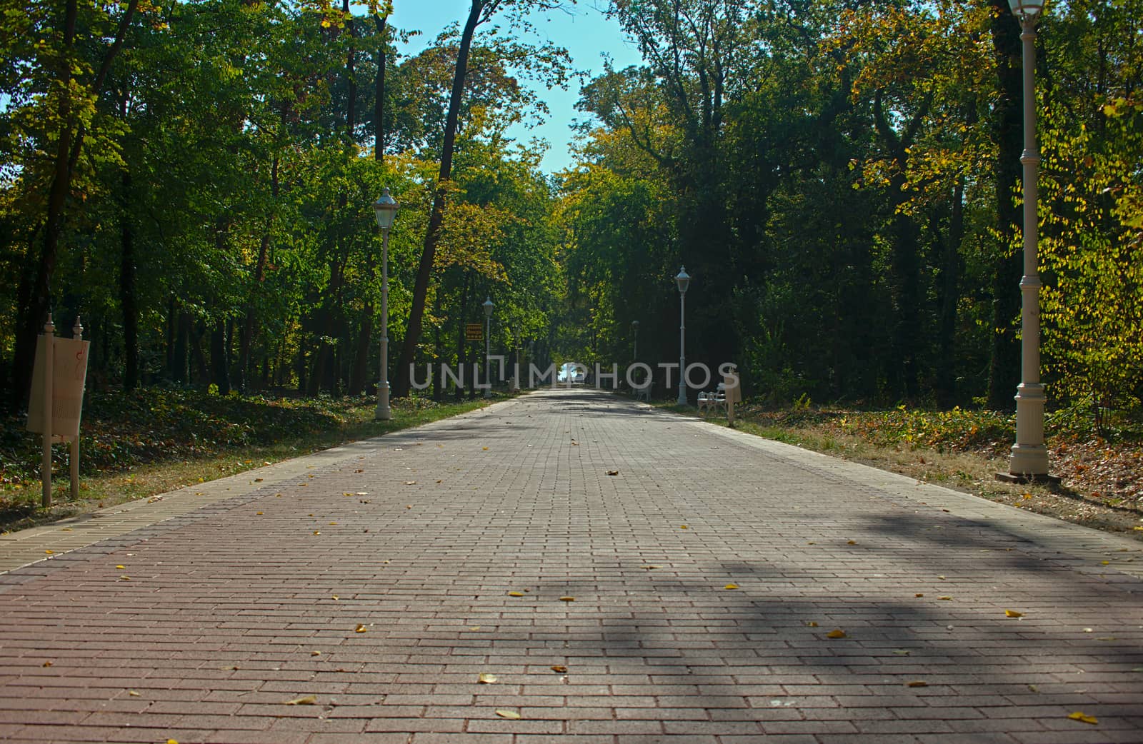 Bricks pathway in Palic park, Serbia by sheriffkule