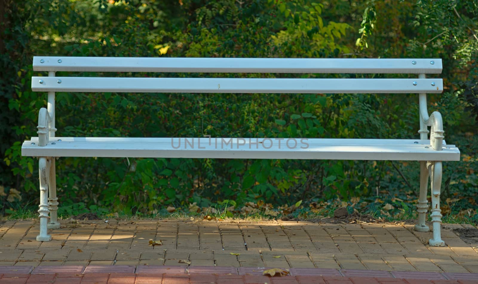 Front view on a white bench on red bricks with nature behind it