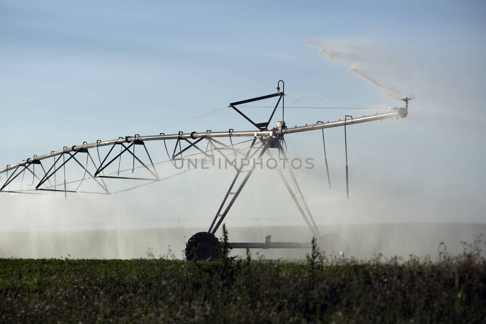 automatic irrigation sprinklers, extensive agriculture, crops