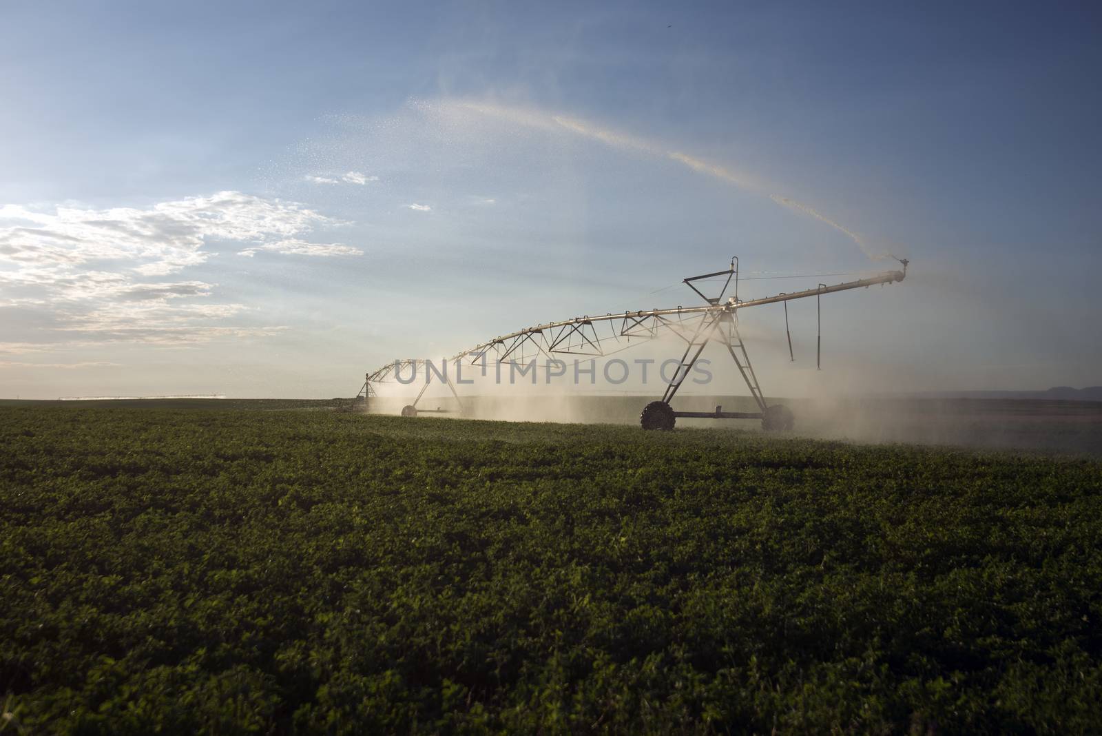 automatic irrigation sprinklers, extensive agriculture, crops by jalonsohu@gmail.com